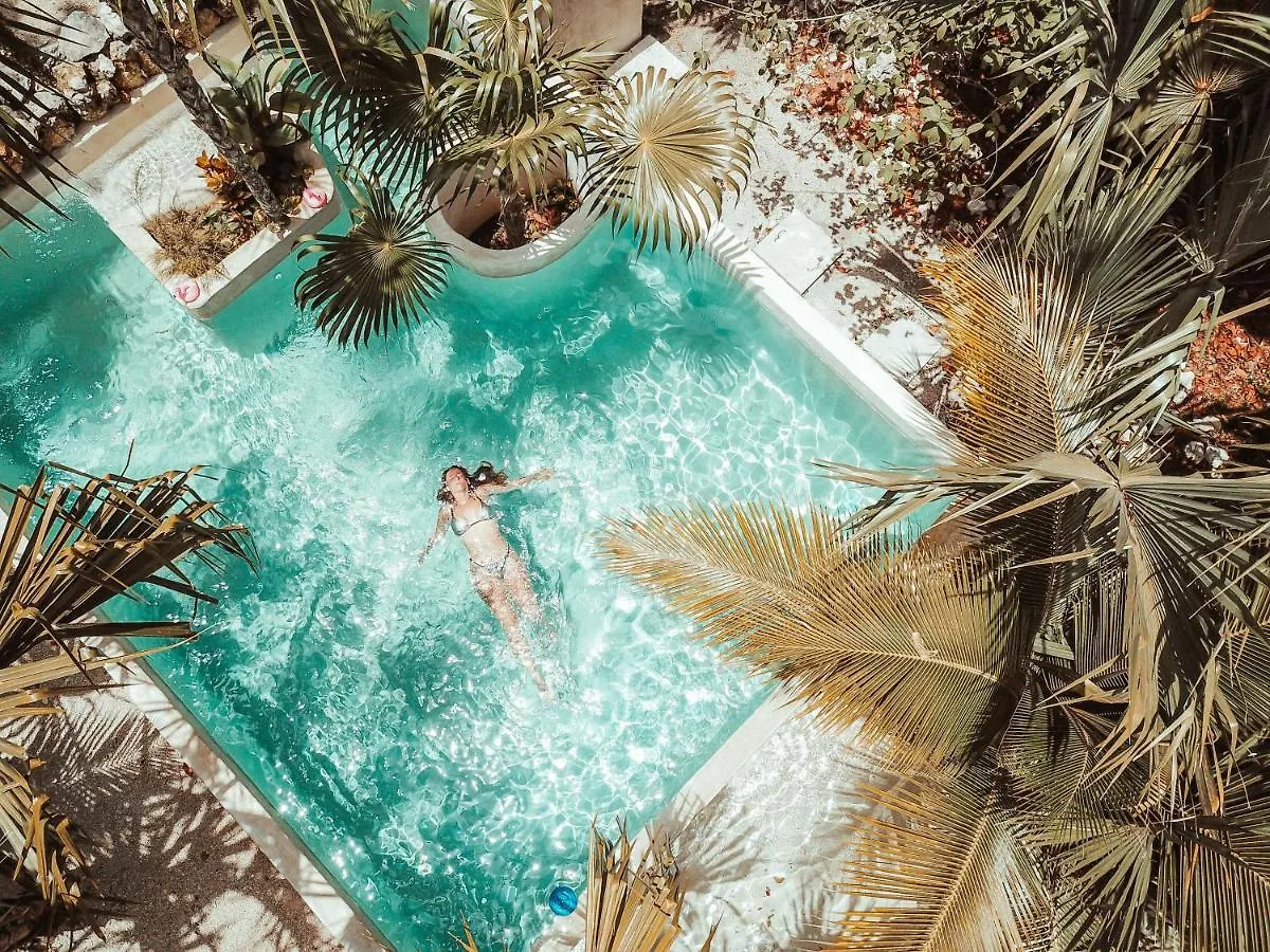 Hotel Buenavista Bacalar Jungle Experience contacts