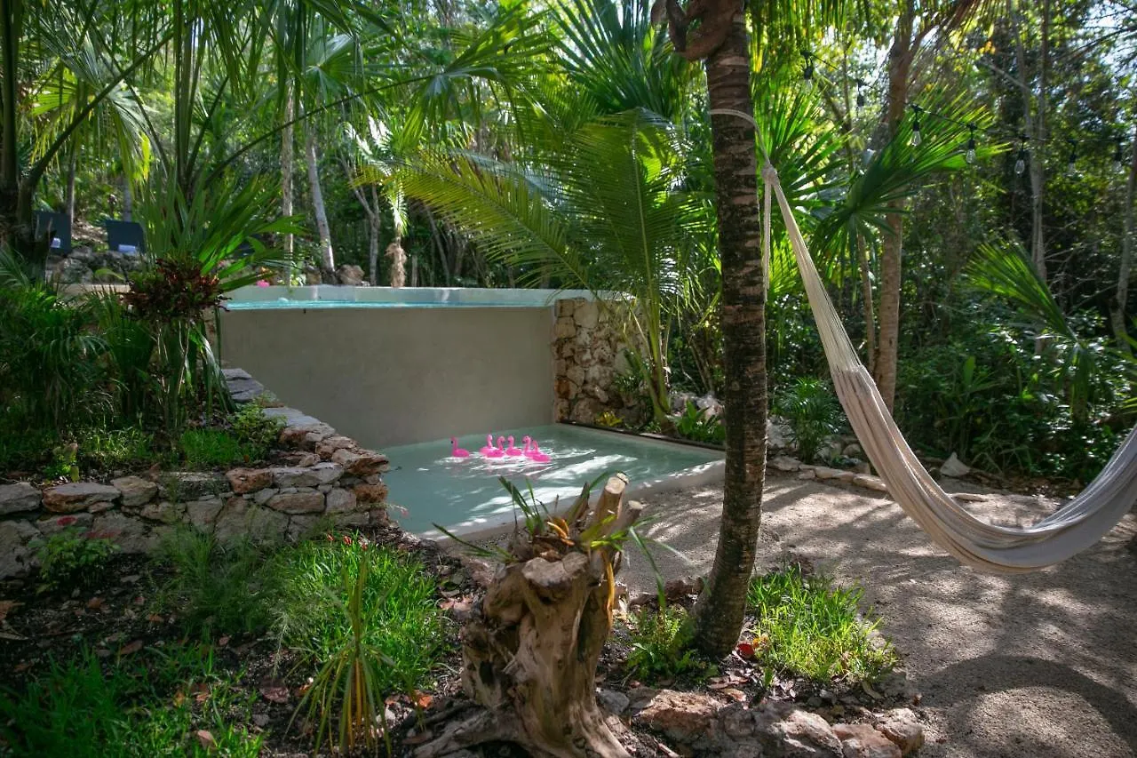 Hotel Buenavista Bacalar Jungle Experience Mexico