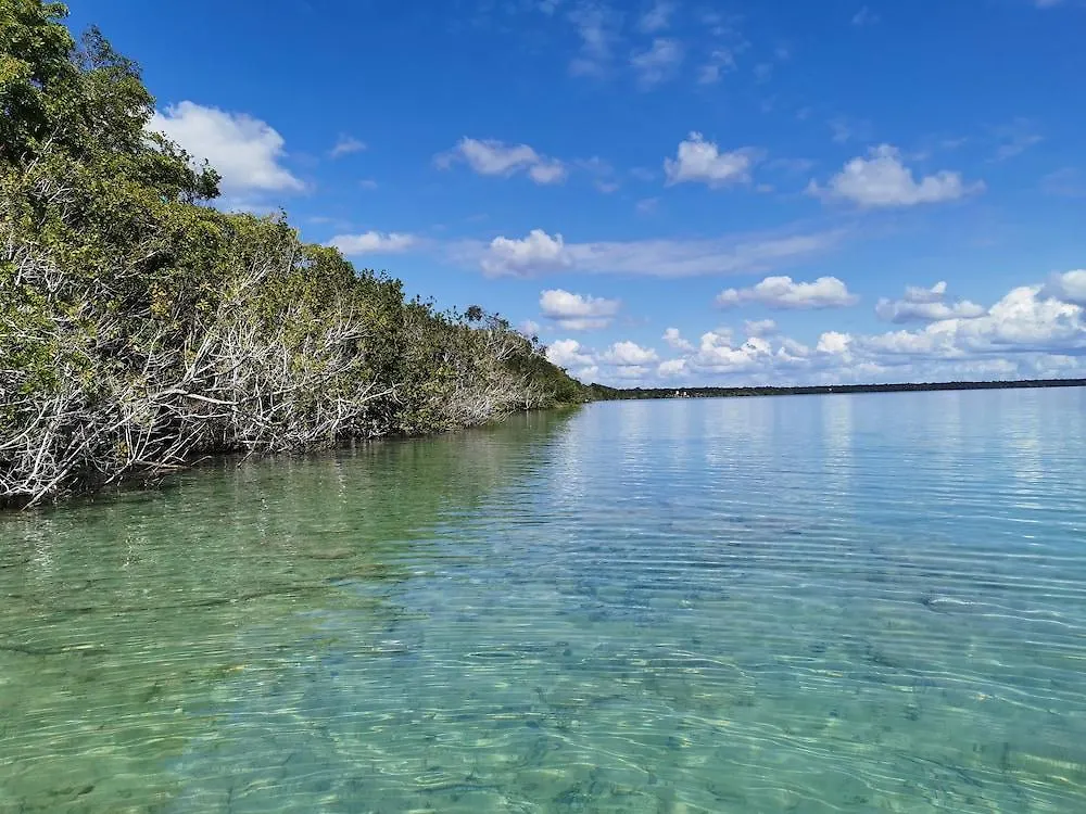 Hotel Buenavista Bacalar Jungle Experience