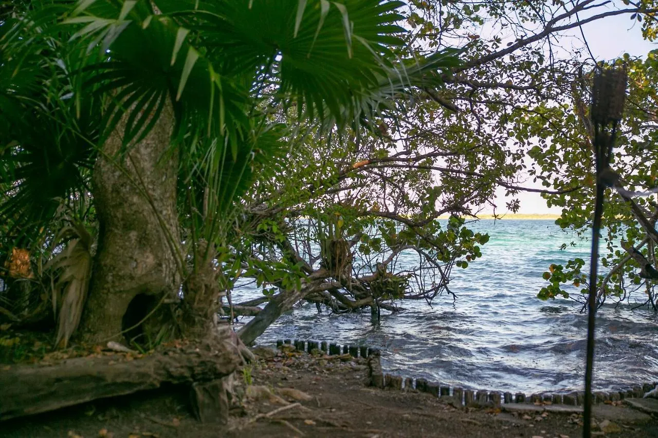 Hotel Buenavista Bacalar Jungle Experience  Buenavista (Quintana Roo)