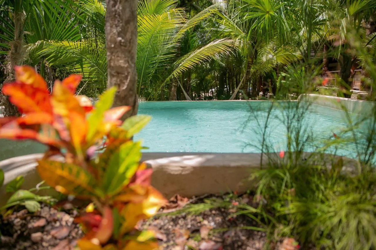 ***  Hotel Buenavista Bacalar Jungle Experience Мексика