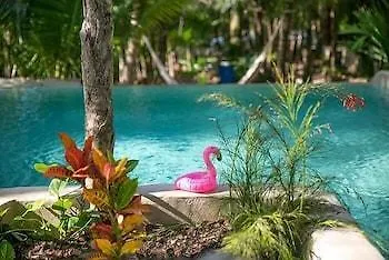 Hotel Buenavista Bacalar Jungle Experience