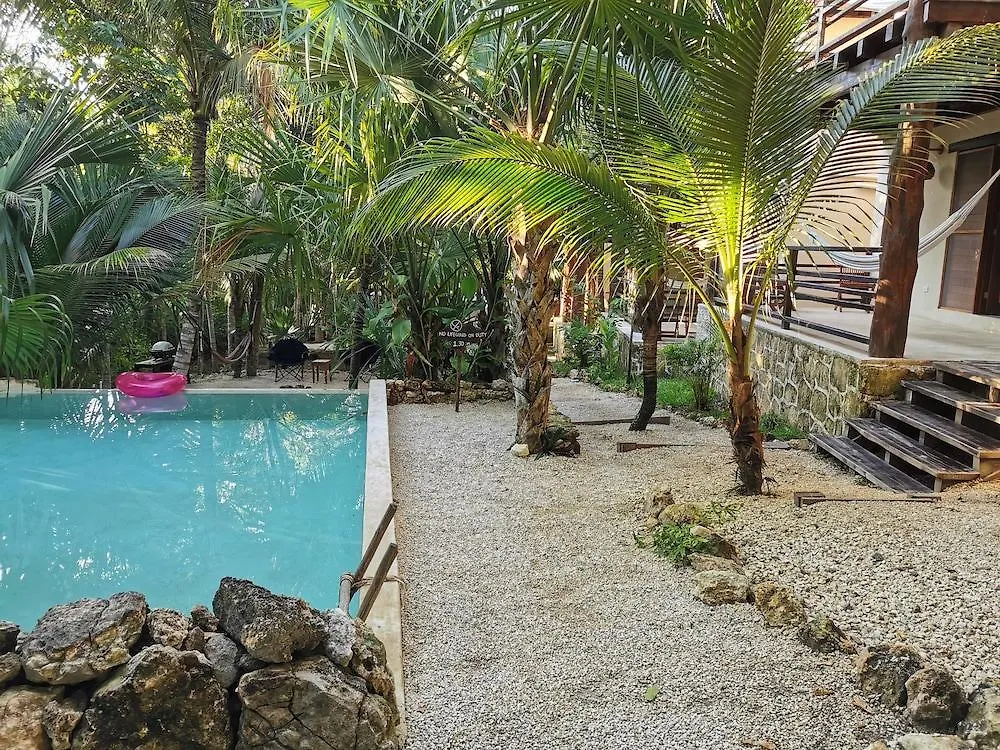 Hotel Buenavista Bacalar Jungle Experience