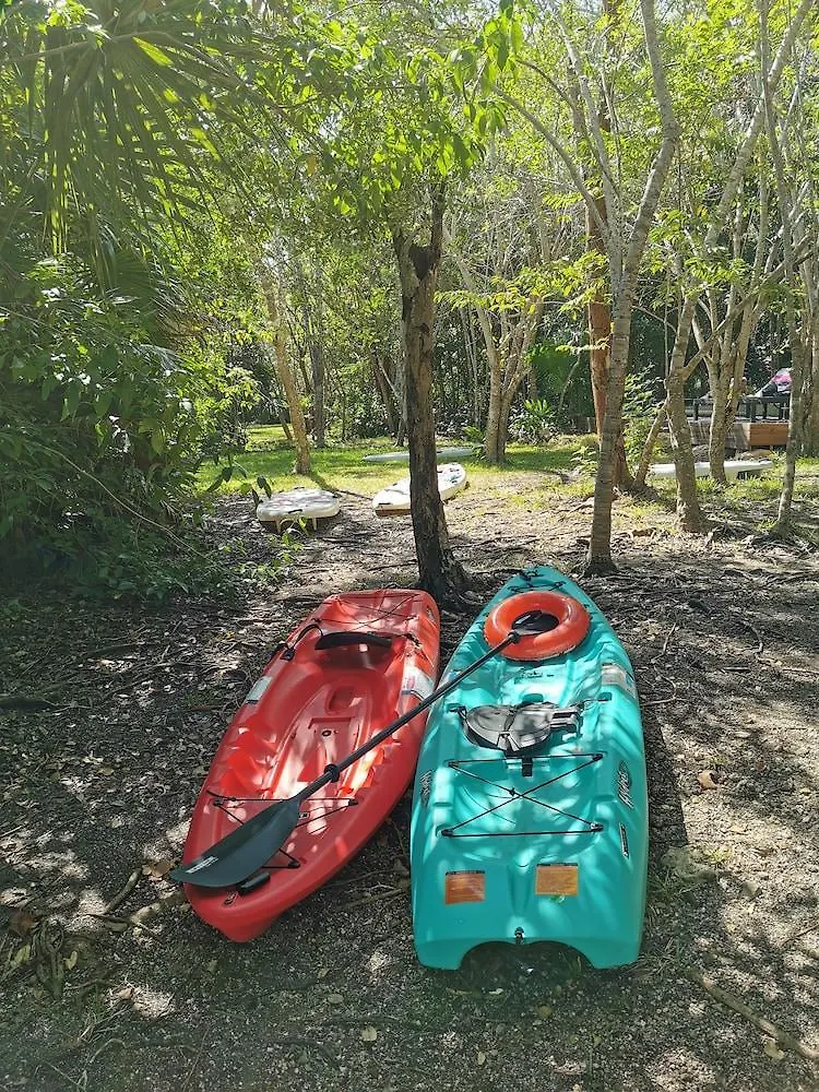Hotel Buenavista Bacalar Jungle Experience