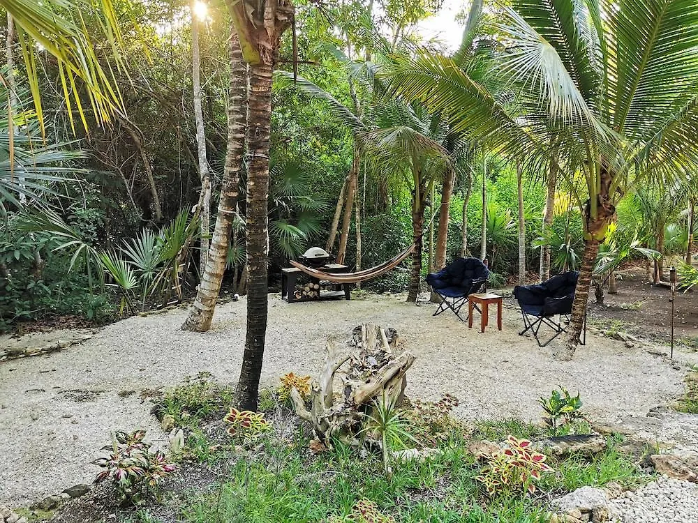 Hotel Buenavista Bacalar Jungle Experience