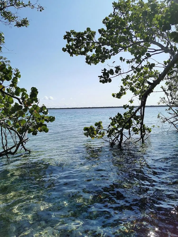 Hotel Buenavista Bacalar Jungle Experience Mexico