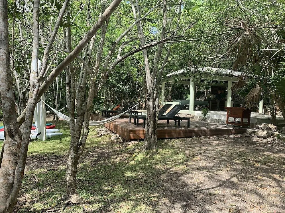 Hotel Buenavista Bacalar Jungle Experience